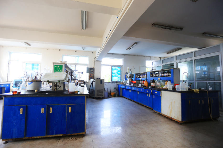  Company environment